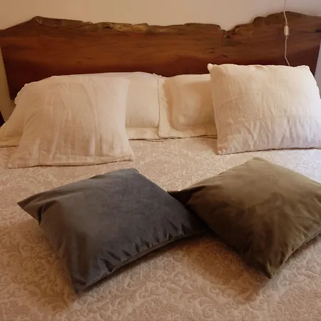 Br1 Cibo & Benessere Montesilvano Marina